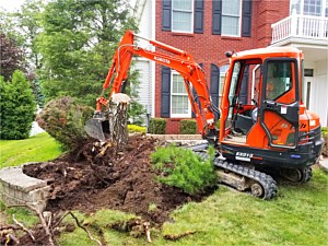 Stump Removal